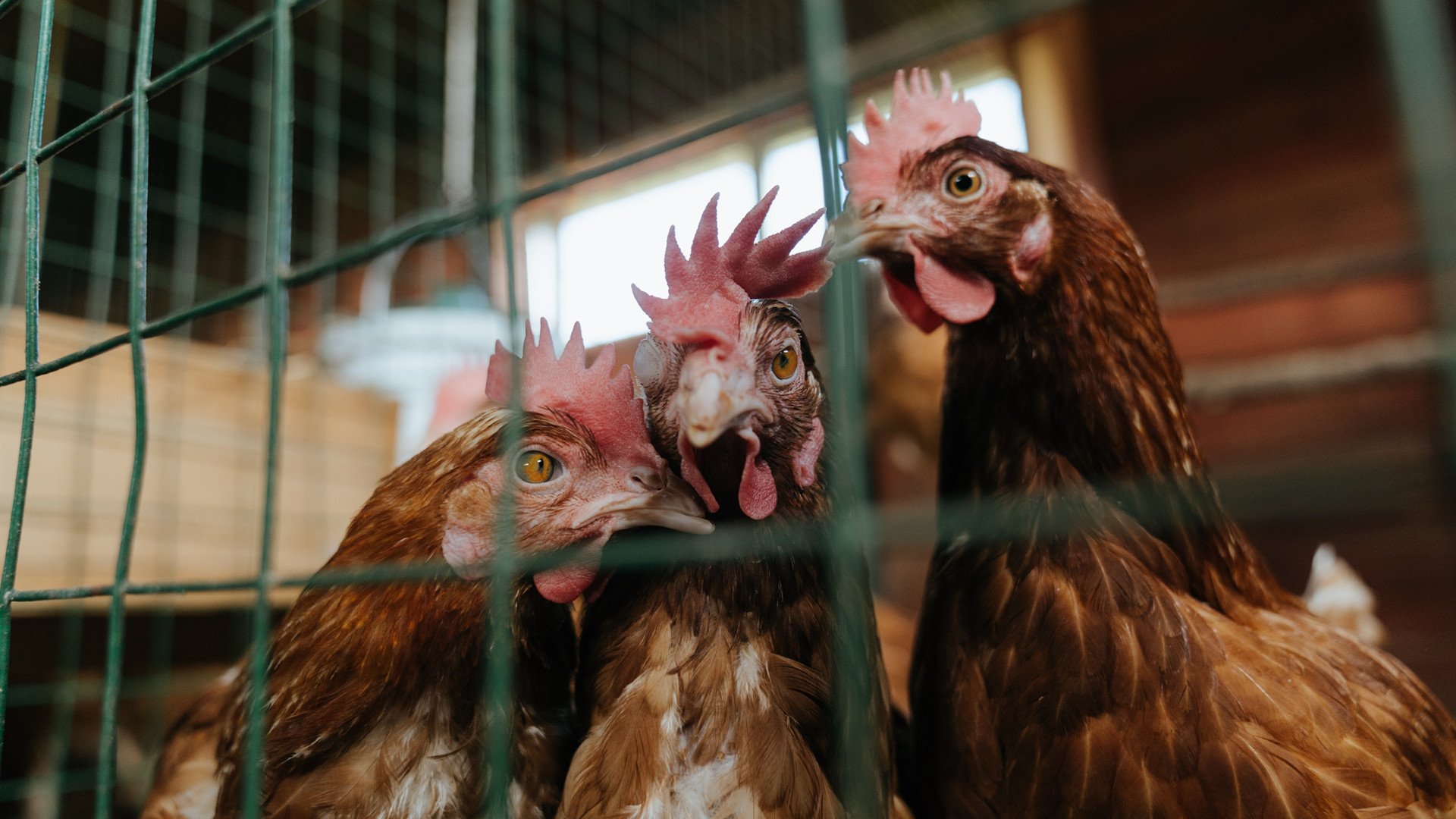 “团队精神：幕后英雄的坚韧守护”，这才是团队精神