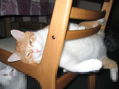 爱游戏网址登录-伤病守护：运动员的康复之路和背后故事，运动员受伤治疗视频